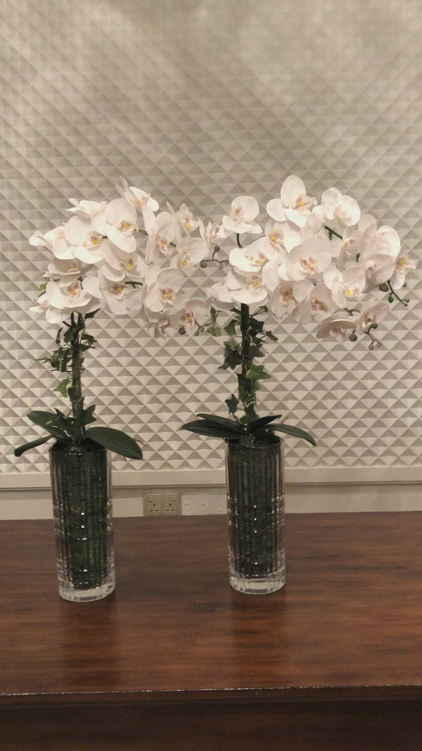 Silk Faux White Orchids Arrangement in Cylinder Vase