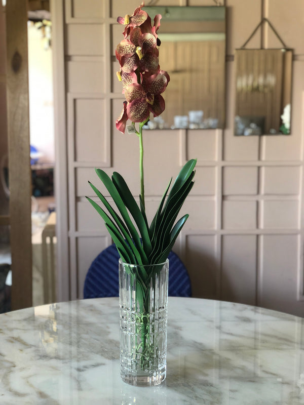 Salmon Vanda Orchid Arrangement in Gel