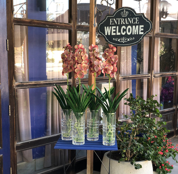 Salmon Vanda Orchid Arrangement in Gel