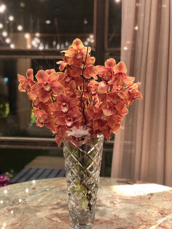 Cymbidium Blooms Orchids Arrangement