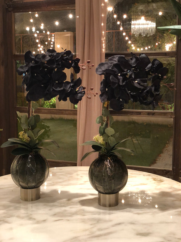 Silk Faux Spanish Black Orchids Arrangement