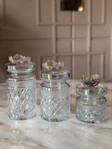 Georges Mauve Fleur Crystal Jars Set