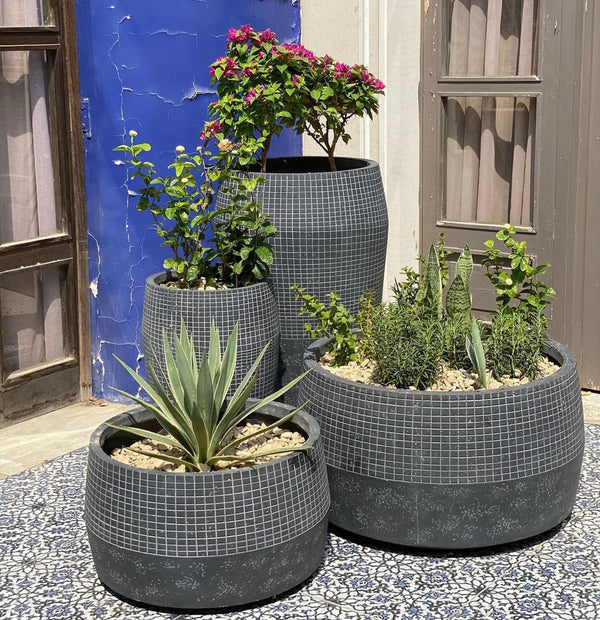 Outdoor Planters Set with Plants