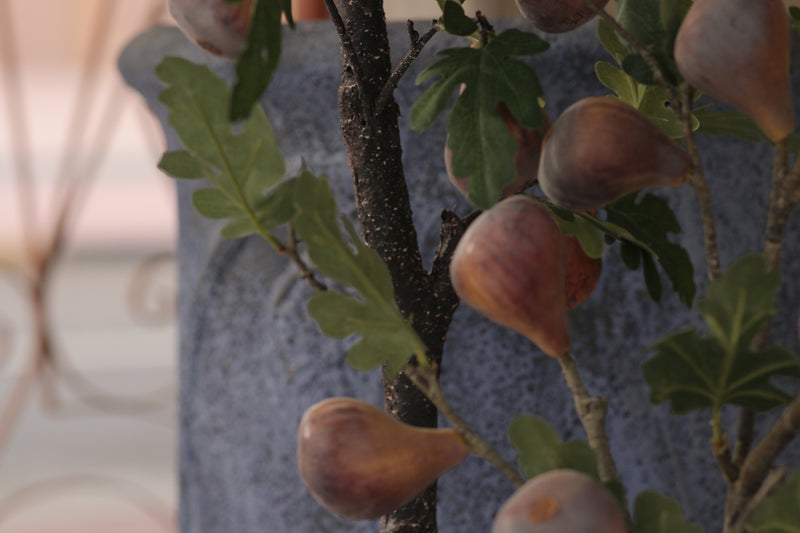 Faux Artificial Fig Tree