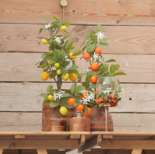 Faux Artificial Lemon & Orange Tree in Wooden Pots