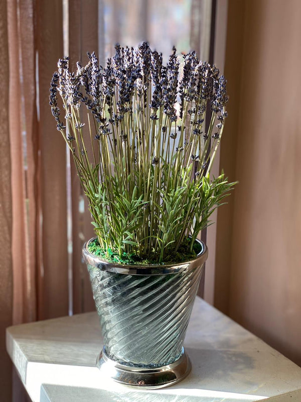 Lavender Arrangement with Spiral Lines Art Vase